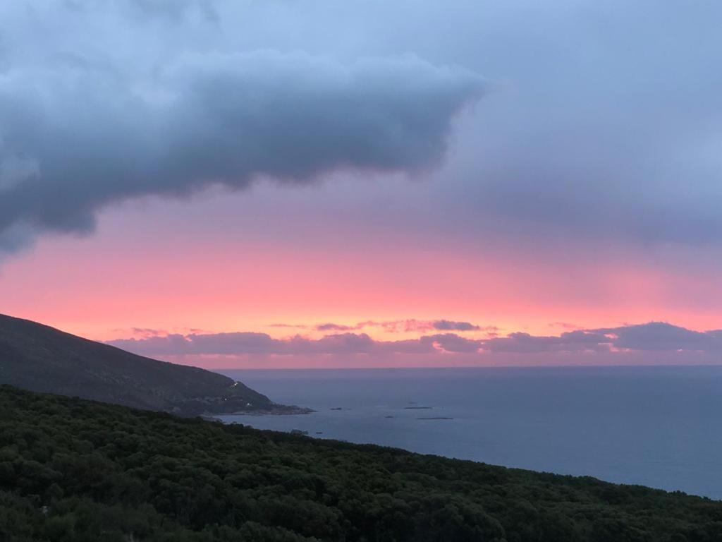 Camps Bay Blue Self-Catering Studios Cape Town Eksteriør bilde
